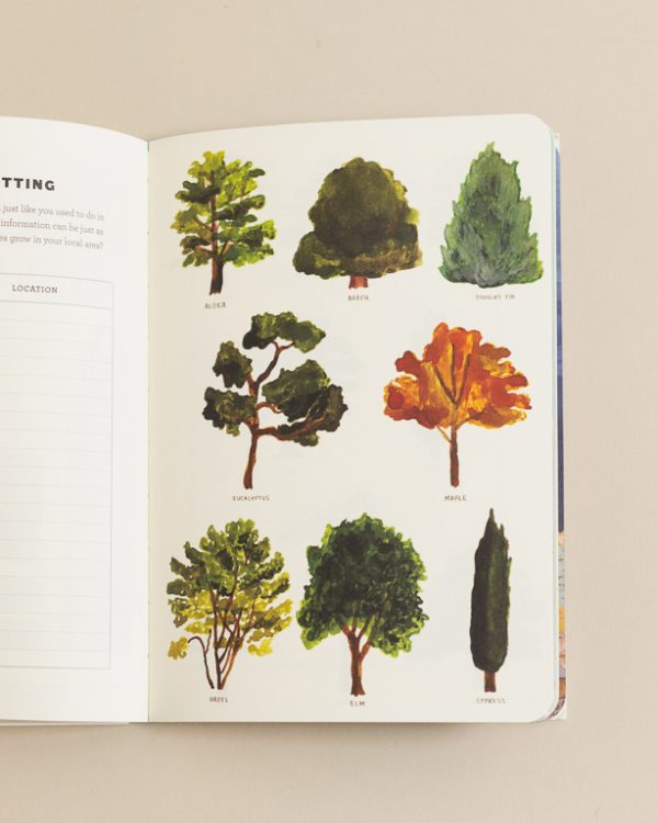 Journal; Small Adventures