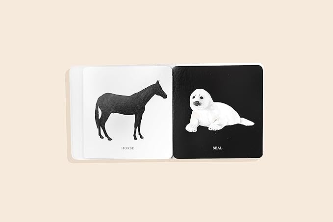 Baby Book; Baby's Black and White Contrast Book (High-Contrast Art for Visual Stimulation at Tummy Time)