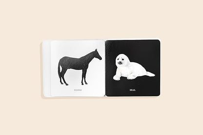 Baby Book; Baby's Black and White Contrast Book (High-Contrast Art for Visual Stimulation at Tummy Time)