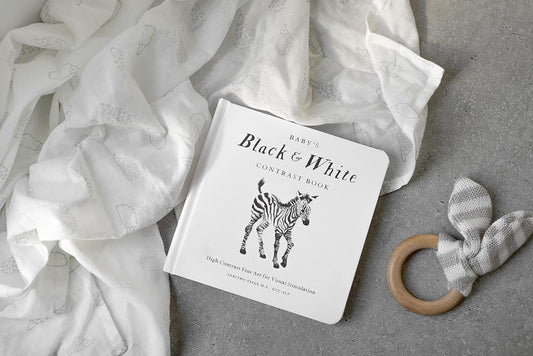 Baby Book; Baby's Black and White Contrast Book (High-Contrast Art for Visual Stimulation at Tummy Time)