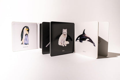 Baby Book; Baby's Black and White Contrast Book (High-Contrast Art for Visual Stimulation at Tummy Time)