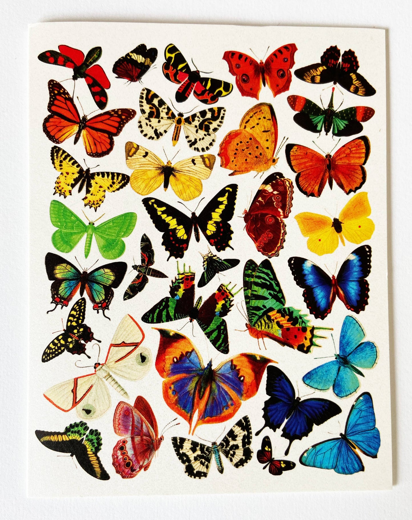 Boxed Card Set; Rainbow Butterfly (8 Cards + Envelopes)