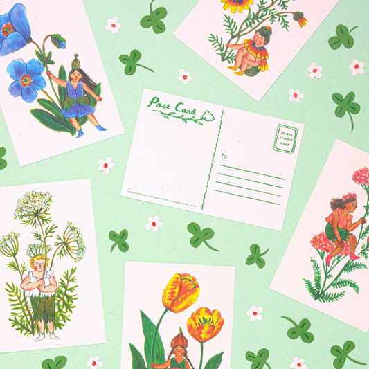 Postcard Set; Flower Fairies by Phoebe Wahl & Co. (Set of 12 Postcards, Made In The USA)