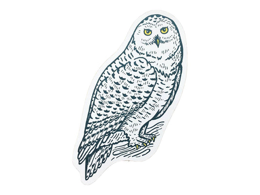 Postcard; Snowy Owl By Noteworthy Paper & Press