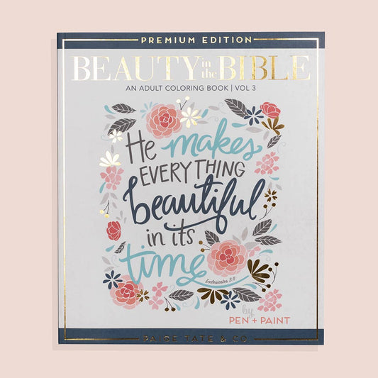 Coloring Book; Beauty in The Bible 3 (Christian Coloring Book)