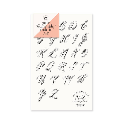 Brush Calligraphy Exemplar Kit By Antiquaria